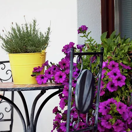 Apartamento Zuntl *